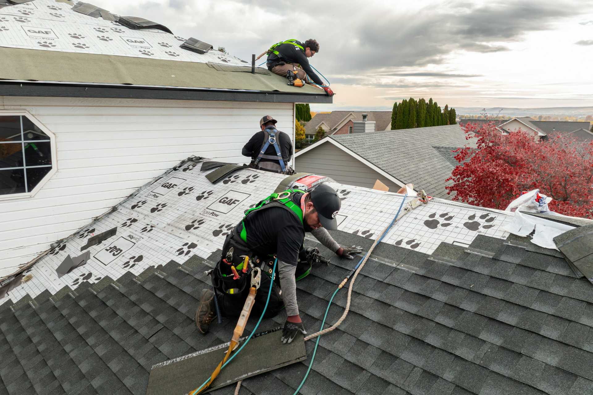 asphalt shingles roofing services