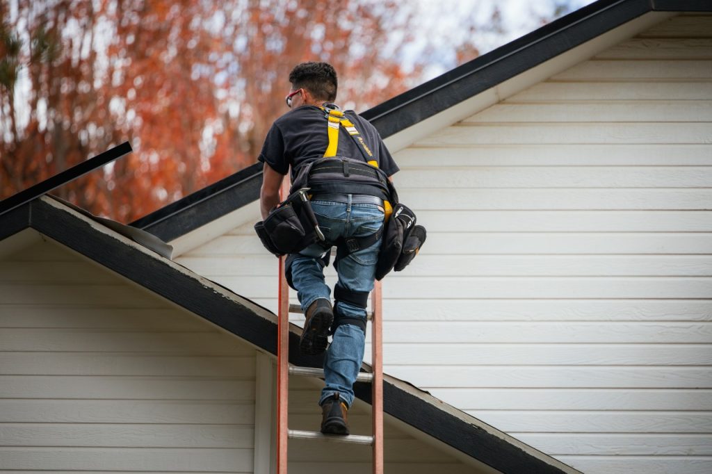 professional roof inspection